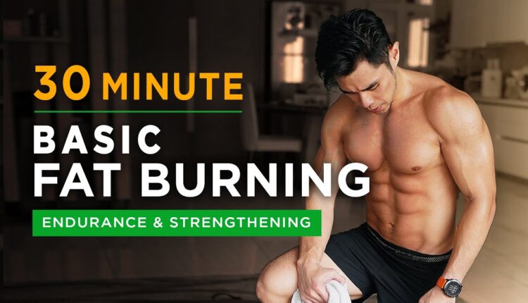 [Level 1.5] 30 Minute Lite Full Body Workout!