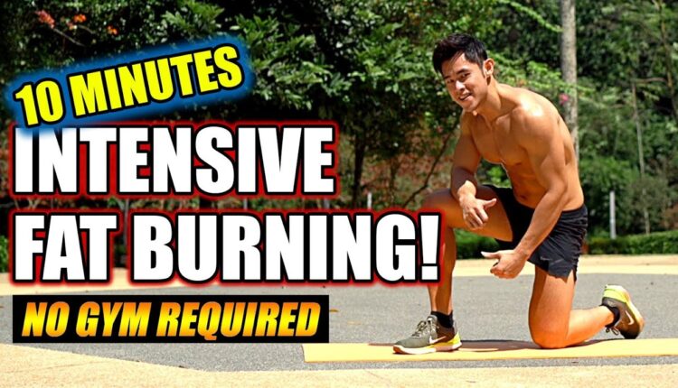 [Level 3.5] 10 Minute Intensive Fat Burning (easy, normal, hard)