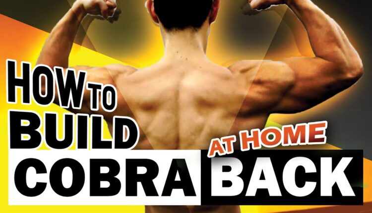 How To Build A Sexy Back At Home (no pull up & rows)