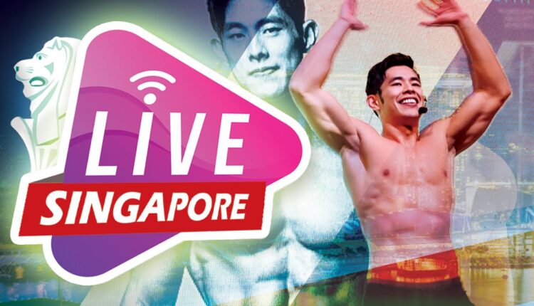 [Vlog] My Life and My Job