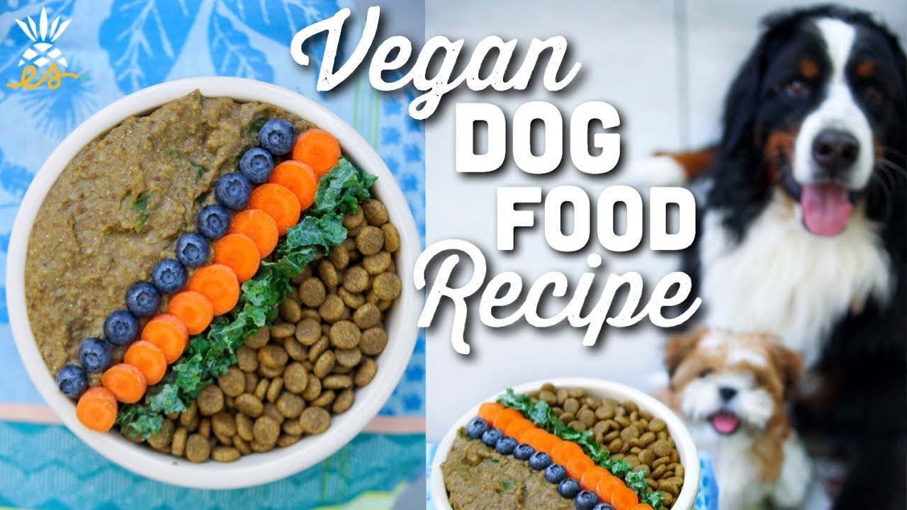 What We Feed Our Dog Homemade Vegan Dog Food Recipe Fitness Connect Plus